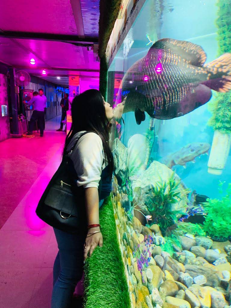 places to visit in udaipur-aquarium